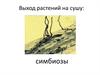 Выход растений на сушу: симбиозы