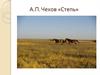 А.П. Чехов «Степь»