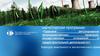 Российский университет дружбы народов. Кафедра земельного и экологического права. Магистерская программа