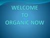 Welcome to organic now. Organic Restaurant Mexico