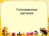 Голосеменные растения