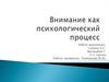 Внимание как психологический процесс