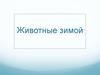 Животные зимой