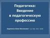 Педагогика: Введение в педагогическую профессию