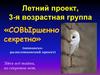 Летний проект, 3-я возрастная группа