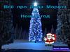 Дед Мороз и Новый год