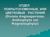Отдел покрытосеменные, или цветковые растения