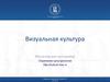 Визуальная культура