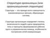 Структура организации (или организационная структура)