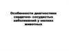 Особенности диагностики сердечно-сосудистых заболеваний у мелких животных