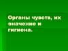 Органы чувств, их значение и гигиена