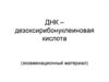 ДНК – дезоксирибонуклеиновая кислота