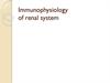 Immunophysiology of renal system