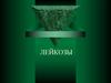 Лейкозы. Острые лейкозы