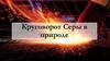 Круговорот серы в природе