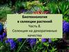 Биотехнология в селекции растений. Часть 8. Селекция на декоративные качества