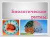 Биологические ритмы