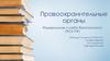 Правоохранительные органы. Федеральная служба безопасности (ФСБ РФ)