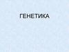 Генетика. Основные понятия
