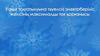 Уақыт тоқтатылуына тәуелсіз электрберіліс желісінің максималды қорғанысы