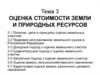 Оценка стоимости земли и природных ресурсов